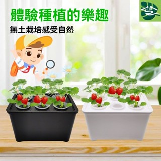 【特惠免運】花盆 花箱 花槽 水培草莓生菜種植箱家庭智慧無土栽培蔬菜盆栽幼兒學生觀察種菜