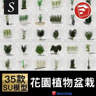 中式日式庭院花園景觀竹子SU模型植物小品盆栽盆景sketchup單體庫