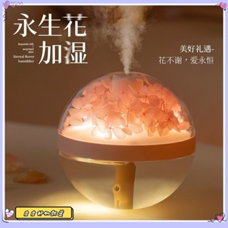 🔥限時下殺🔥永生花加濕器USB傢用臥室辦公室空調房補水保濕大噴霧空氣凈化器
