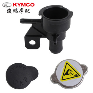 【現貨】光陽原廠 賽艇/CT250/300/S350/S400 雷霆王RKS AK550水箱蓋 漏斗