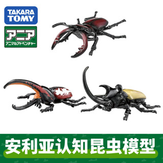 TOMYTOMICA安利亞五角大力神甲蟲瓢蟲認知玩具小擺件模擬動物模型送禮玩具合金壓鑄模型diecast ZQ5G