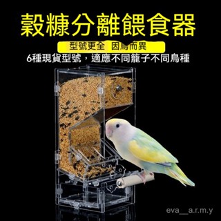 虎皮玄鳳鸚鵡自動餵食器🔥寵物自動餵食器 鸚鵡自動餵食器 鵪鶉飼料盒 鵪鶉 飼料盒 盧丁雞 鸚鵡 鸚鵡塑料盒 自動餵食器