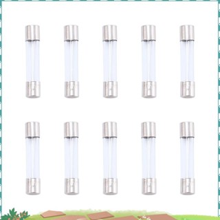 10 件快速熔斷型玻璃管保險絲 6x30mm 250V 10A qeufjhpoo1