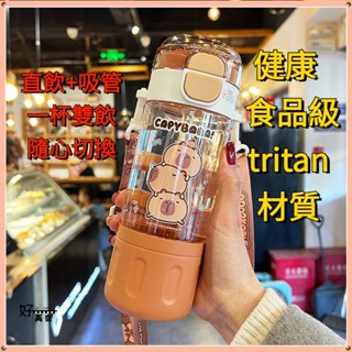 【桃園出貨】水杯 卡皮巴拉水杯 直飲杯 吸管杯 便攜水杯 隨身杯 兒童上學水杯 雙飲學生水壺 tritan材質水杯