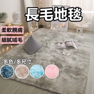 長毛地毯 長毛地墊 絨毛地墊 絨毛地毯 客廳房間臥室床邊毯 毛絨大地墊 毛地毯 絲毛床邊墊 地毯北歐風大地墊#dhhsf