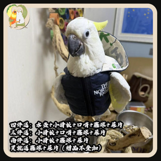 【鸚鵡隊長】中大型鸚鵡 冬季保暖棉服 羽絨服 小香風 高檔私人訂製 凱克 粉巴 灰機 折衷 賈丁 灰鸚鵡 亞馬遜 亞歷山