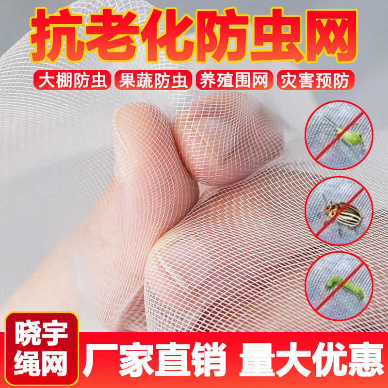大棚蔬菜網農用養殖蔬菜網果園網防鳥網種菜專用防蟲網種菜專用