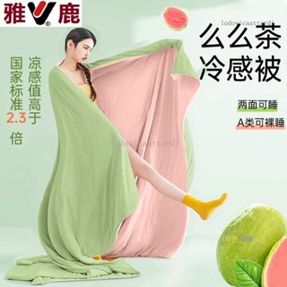 臺灣出貨- 【1472人好評】西瓜凍凍被子夏涼冰淇淋空調涼感夏季冰絲夏天雙人可機薄款清涼