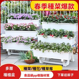 【立體種植神器】陽臺種菜盆多層架 塑膠蔬菜種植箱｜家用長方形花箱 蓄水排水系統 防紫外線材質