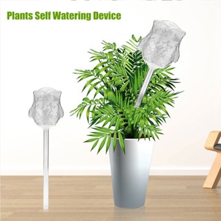 室內植物花卉自動自動澆水裝置透明玻璃餵水器貓頭鷹形狀