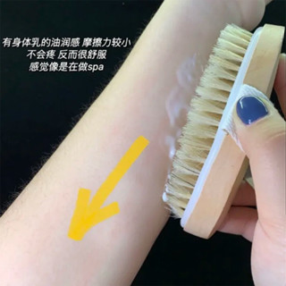 清潔刷 (Cleaning Brushes) 【店鋪】豬鬃毛身體刷2024年耐用沐浴刷搓澡按摩刷子美膚神器 新款 現貨