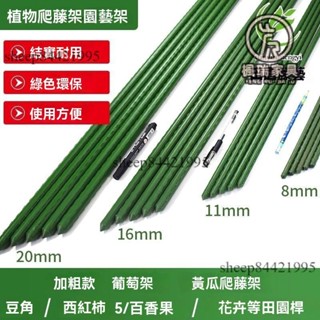 免運含稅😊爬藤架 花架 爬藤支架 包塑鋼管 黃瓜豆角葡萄架 固定植物支撐杆 固定杆 園藝支架 支撐架 拚接花架 黃瓜架