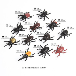 現貨速髮模擬崑蟲模型實心甲蟲 獨角僊崑蟲小動物兒童模型玩具批髮