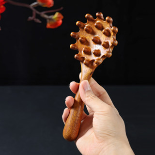 comb【貝殼點綴】檀木貝殼梳子頭部經絡梳按摩梳耙子刮痧點穴經絡檀木按摩梳家用新款 現貨 25.4.25