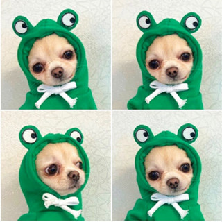 Pet clothing 小中型犬青蛙變身狗狗貓咪衣服泰迪法鬥抓絨衛衣寵物用品 新款 現貨 25.4.11