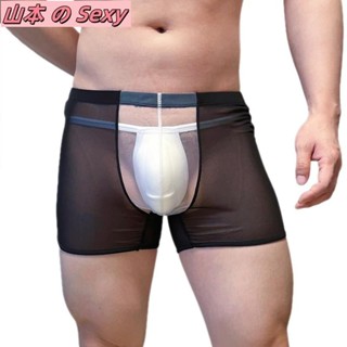 4 色男士內衣性感網眼超薄透明平角內褲凸袋透氣男內衣