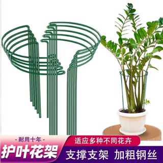 ✨ 臺灣出貨✨【加粗鋼絲】爬藤架植物花支架半圓花架護葉架鐵藝蟹爪蘭龜背竹支撐架固定加厚 園藝工具