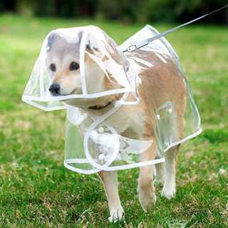 狗狗雨衣泰迪專用中型柴犬小型小狗金毛雨披防水寵物衣服柯基四腳 %CW250414