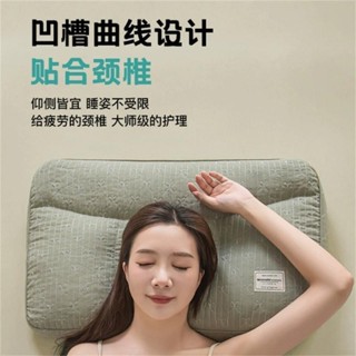 防蟎抗菌枕 可水洗 枕頭 乳膠枕 兒童枕頭枕頭套全蕎麥殼枕頭成睡眠專用硬枕護助睡眠不塌陷枕芯家用一對裝