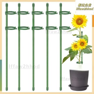 免運~植物固定防倒伏花架子 園藝支撐單桿室外花園月季爬藤繡球撐花支架【開立發票】