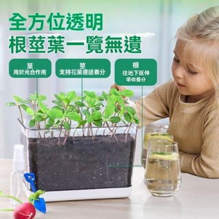 【特惠免運】花盆 花箱 花槽 陽臺花盆種植觀察盒植物透明花盆小學生觀察盒植物花盆長方形長條