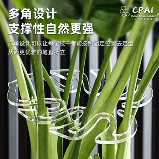 新款植物水培花莖固定器防到伏透明塑膠龜背植物根莖生長支架支撐 植物生長支架 植物生長固定架 根莖包不亂 植物收攏架