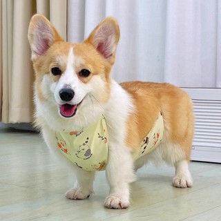 店鋪寵物狗狗肚兜防水防髒護肚子柯基貓咪法鬥柴犬小型犬春夏衣服雨衣 %CW250414