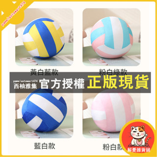 臺灣出貨 彩色軟體球形 玩偶 排球抱枕 圓球形玩偶 毛絨玩具 球迷布娃娃 兒童睡覺公仔 男女孩 生日禮物