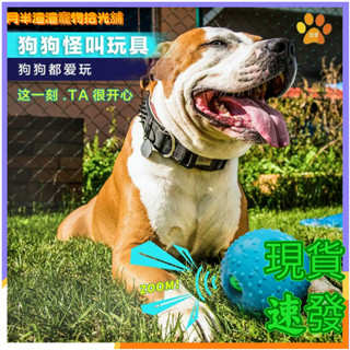 [現貨速發]寵物怪叫發聲球 狗狗耐咬玩具球 磨牙訓練解悶神器 自嗨互動發聲器 耐抓咬寵物玩具