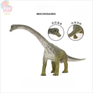 兒童認知玩具 模擬恐龍動物模型玩具 腕龍實心塑膠早教擺件