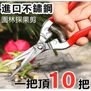 熱賣臺灣出貨 進口不銹鋼 摘果剪 園藝剪刀 修枝剪 葡萄火龍果 剪 採摘花椒神器 專用剪 五金配件 特賣J