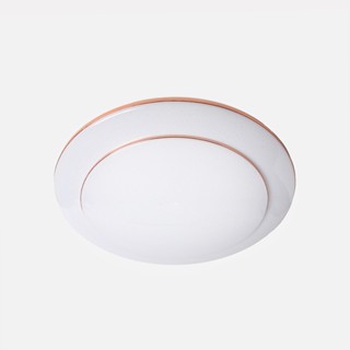 特力屋 暮光 48W LED吸頂燈 附遙控 調光調色LED吸頂燈
