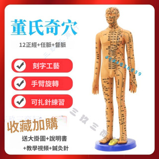 董氏奇穴人體模型 穴位模型 針灸模型 經絡穴位銅人 教學模具 練習訓練培訓穴位模具 軟質 52cm 精準定位 高畫質