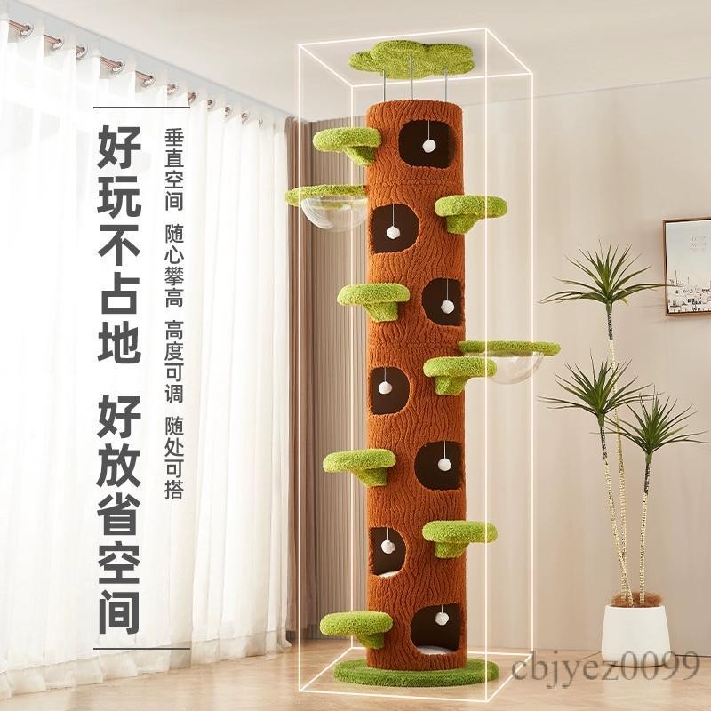 【新品上市】🏆貓跳台🏆貓爬架 通天柱 貓柱 貓の樹貓爬架通天柱家用不占地免打孔頂天立地貓咪太空艙別墅貓窩樹洞