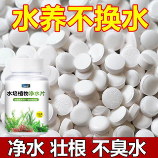 淨水片富貴竹碗蓮淨水保鮮鮮花保鮮花淨水片水培植物專用淨水片龍血樹山竹碗蓮花淨水保鮮花保鮮