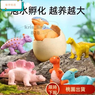 【桃園出貨】膨脹恐龍公仔 恐龍蛋孵化泡水 網紅同款泡水兒童玩具 大號泡水長大變大膨脹霸王龍模型 WQV3