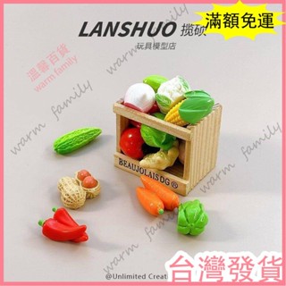 🍠臺灣發貨+統編🍠模擬食物擺件 迷你蔬菜 食玩 diy配件 沙盤道具 立體食物模型 微景觀 小眾擺件 微場景 微縮蔬