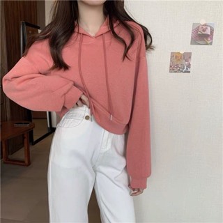 《現貨下單》女短版連帽薄款寬鬆新款韓版高腰套頭長袖大學T上衣潮ins女上衣上衣短板長袖 薄長袖女長袖女女生上衣女生衣