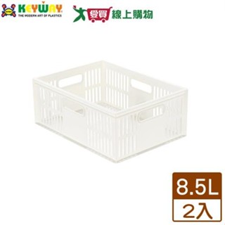 KEYWAY聯府 總理萬用籃 DT25【2件超值組】臺灣製 可堆疊 收納 置物 整理【愛買】