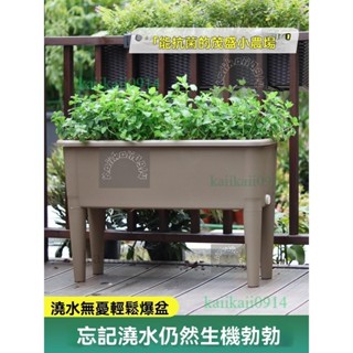 免運🤑 陽臺種植箱2024新款種植盆高腳長方形花盆樓頂花箱種菜神器蔬菜菜