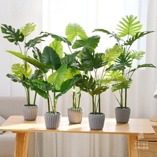【TRIBE臺灣現貨】90cm 大號模擬綠植盆栽 創意室內擺件 仿真植物 龜背葉 模擬盆栽 假花盆栽 假盆栽 假花LH