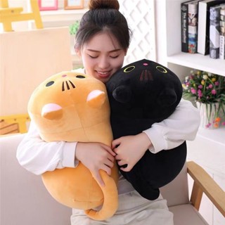 【現貨】 貓咪睡覺可愛枕頭娃娃黑貓毛絨玩具公仔玩偶生日禮物女生坐墊靠枕Cat Sleeping Cute Pillow