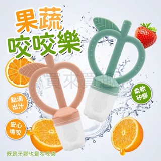 【電子發票】水果咬咬棒 咬咬棒 咬咬樂 蔬果咬咬樂 寶寶奶嘴 水果棒 咬咬網 咬咬樂輔食器 固齒器 嚼嚼樂 蔬果棒