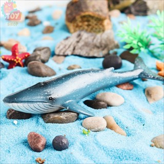 實心藍鯨模型 模擬海洋動物玩具鯨魚模型 兒童認知玩具擺件