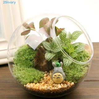 IVORY 硼矽酸鹽玻璃花瓶,透明斜透明玻璃球花瓶,花盆 8/10/12/16cm 透明硼矽酸鹽玻璃植物玻璃容器辦公室裝