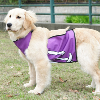 Pawsfun狗狗防髒防水肚兜 大型犬金毛邊牧護腹衣服 寵物春夏服飾