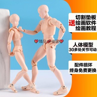 shf全身關節可動素體男女動漫人漫畫人體模型手辦美術繪畫人偶—臻榀💝優選