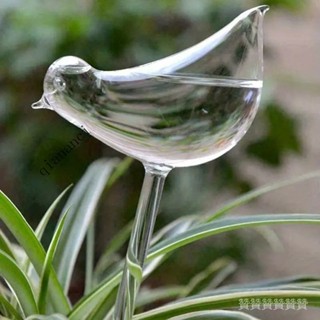 📣讚仿玻璃小鳥自動澆花器懶人澆水器旅行滴水器懶人澆水器圓形澆花器 R A V E