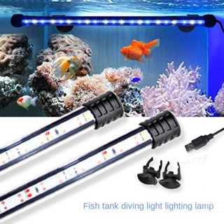 優選✨免運【USB】 水中燈 LED魚缸潛水燈（R33724豆腐頭）照明燈低壓 防水燈雙排水族箱增艷燈