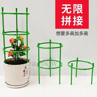 【限時特惠🎉】塑膠可拼接花支架 支撐圈 支撐桿 室內植物花架 陽臺枝條爬藤架 攀爬架 立柱架 植物架 花架 葡萄架